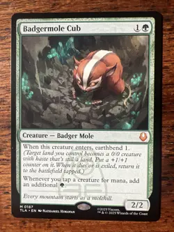 Badgermole Cub - #167 Regular - Avatar - Mtg - Image 1