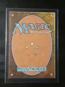 Tranquil Cove FOIL , Kamigawa Neon Dynasty , NM, MTG , FREE SHIPPING - Image 4