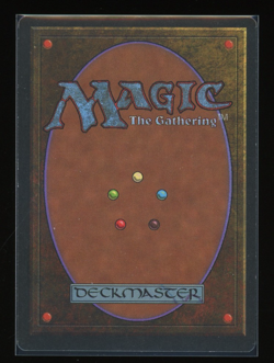 Savannah - Revised 1994 - Magic the Gathering - Image 2