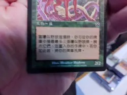 Foreign Lot of Magic the Gathering - 100+ CardsU - Image 2