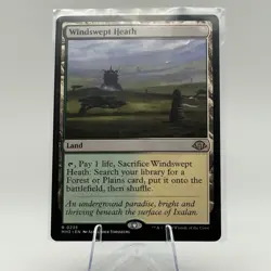 MTG Modern Horizons 3 - Windswept Hearth - MH3 - NM - Fetch Land - Image 1