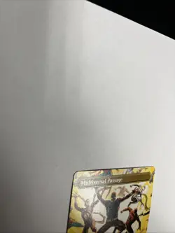 Multiversal Passage Borderless Nonfoil Card #0206 MTG LP #2 INV - Image 4