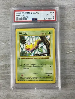 1999 1st Edition Weedle Shadowless Base Set 69/102 (PSA 6 EX-MT) Pokemon Card. - Image 1