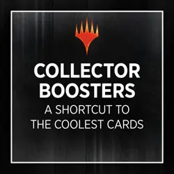 Magic the Gathering Murders at Karlov Manor Collector Booster Box - 12 Packs - Image 5