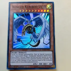 Winged Kuriboh LV10 AC19-EN023 Yu-Gi-Oh! 1st Edition LP - Image 1