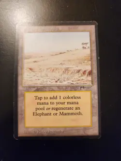 Elephant Graveyard Magic: The Gathering MTG x1 Arabian Nights Lightly Played - Image 1
