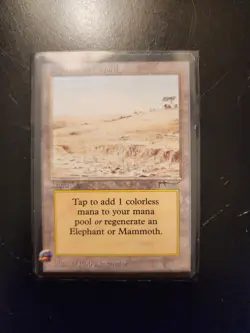 Elephant Graveyard Magic: The Gathering MTG x1 Arabian Nights Lightly Played - Image 5