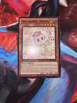 Yugioh! Mulcharmy Meowls L5DD-ENA14 Common 1st Edition Near Mint - Image 1