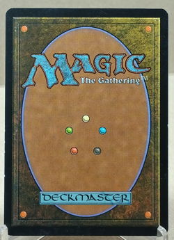 Magnetic Theft 74/165 5DN: Fifth Dawn Magic The Gathering: LP - Image 2