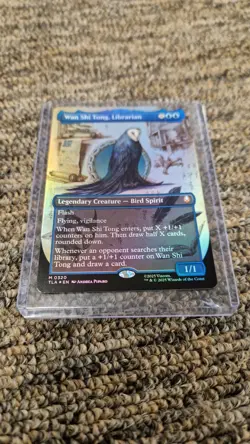 Wan Shi Tong Librarian Borderless FOIL NM - Magic MTG TLA #0320 - Image 1