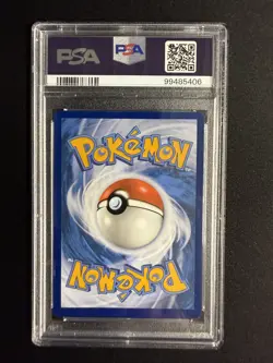 2024 Pokemon Squirtle 148/142 SCR EN Illustration Rare GEM MINT PSA 10 - Image 2