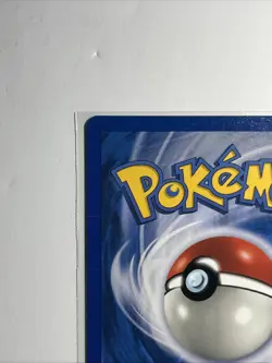 *NM* Kogas Pidgey [Common] 80/132: Gym Challenge WOTC 2000 - Pokemon TCG Card - Image 4