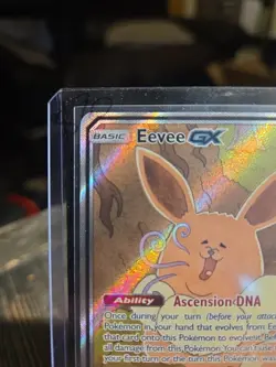 2019 Pokemon EEVEE GX Holo SM233 Sun & Moon Back Star Promo Textured Card MT NM - Image 2