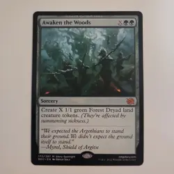 MTG - NM - Awaken the Woods - The Brothers' War (BRO) - #170 - Regular - Image 1