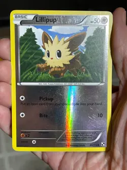 POKEMON LILLIPUP #80/114 COMMON REVERSE HOLOFOIL LP BLACK & WHITE CARD - Image 1
