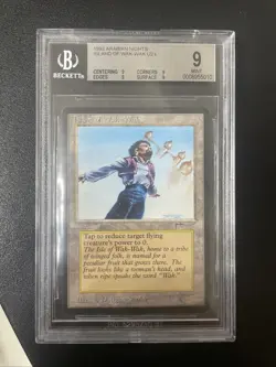 Mtg Bgs Arabian Nights Island Of Wak Wak + Jihadd Nm Graded - Image 1