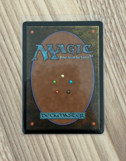 Choco Seeker of Paradise 0569 Borderless Final Fantasy MTG Chocobo Track Foil - Image 2