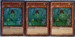 Yugioh 3x Naturia Rosewhip HA02-EN041 Super Rare Unlimited Edition NM Playset - Image 1