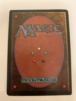 MTG LP Knights of Thorn The Dark Free Shipping In The US With Tracking - Image 2