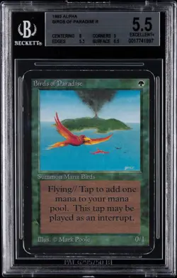 1993 MTG ALPHA R BIRDS OF PARADISE BGS 5.5 - Image 1