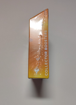 Sealed Dominaria United Collector Booster Display Box - MtG Magic the Gathering - Image 3