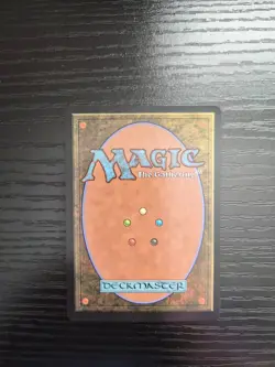 MTG Avatar: The Last Airbender - Wan Shi Tong, Librarian #320 - Borderless Foil - Image 2