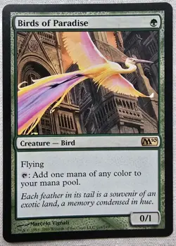 Birds of Paradise Core Set 2010 (M10) Regular - Image 1