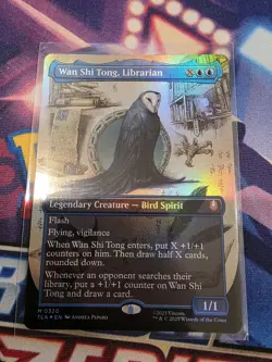 Wan Shi Tong Librarian Borderless FOIL NM - Magic MTG TLA #0320 - Image 1