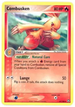 Pokemon - Combusken - 29/108 - Uncommon - EX Power Keepers - NM - Image 1