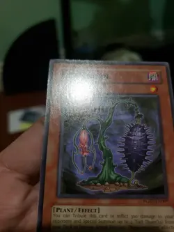 Yugioh: EVIL THORN - [RGBT-EN009] - [Common] - [Unlimited Edition] - NM/M - Image 5