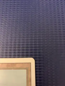 MTG English Tropical Island Light Play Normal Revised - Image 3