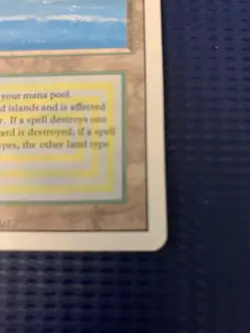 MTG English Tropical Island Light Play Normal Revised - Image 4