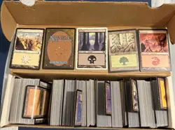 Lot of MTG Basic Land Cards - Image 1