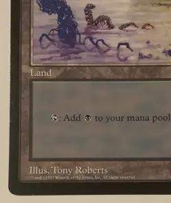 Magic The Gathering MTG SWAMP Promo 6x9 Oversize Jumbo Card! - Image 4