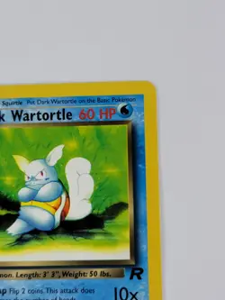 Pokemon Team Rocket 1st Edition Squirtle & Dark Wartortle US - Image 4