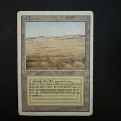 Magic The Gathering Savannah Revised Dual Land Moderately Played See Photos - Image 1