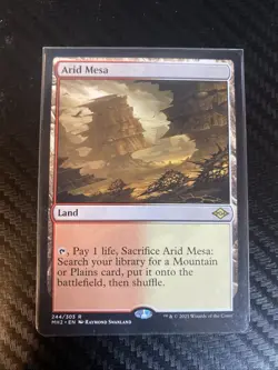 Arid Mesa Modern Horizons 2 Regular - Image 1