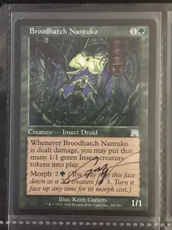 MTG-HH Mixed Lot Of 9 Signed Magic The Gathering Cards (MTG) - Image 3