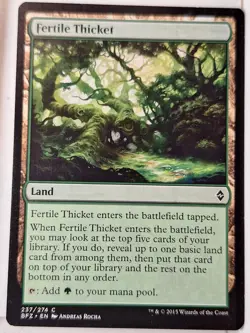 Fertile Thicket - Battle for Zendikar - Magic the Gathering MTG Nice! - Image 1