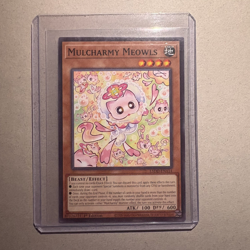 Yu-Gi-Oh! Mulcharmy Meowls L5DD-ENA14 Common Near Mint 1st Edition - Image 1