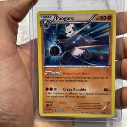 Pokemon TCG Pangoro XY Black Star Promos XY50 Holo Promo LP/NM Pokemon 2015 Card - Image 1