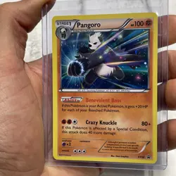Pokemon TCG Pangoro XY Black Star Promos XY50 Holo Promo LP/NM Pokemon 2015 Card - Image 2
