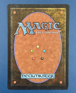 MtG Arabian Nights Edition: Army of Allah (Dark Mana Symbol) - Set of 4 Cards - Image 4