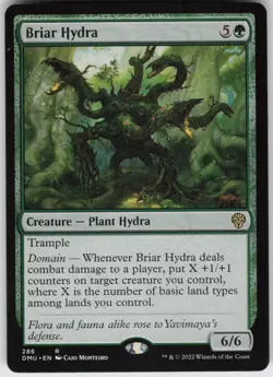 Briar Hydra () 286 Dominaria United R - Image 1