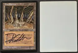 SIGNED MtG Magic _ Rebecca Guay _ Tempest _ Artist Proof _ PINE BARRENS _ 1/50! - Image 1