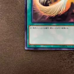 NM Harpie's Feather Duster DP21-JP000 Holographic Rare Ghost YuGiOh 1980 - Image 4