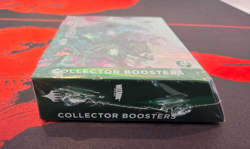 Magic the Gathering - Bloomburrow Collector Booster Box - BLB CBB - New Sealed - Image 3