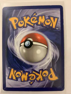 1st Edition Omanyte 52/62 Fossil NM Near Mint 1999 Pokemon Card - Image 2