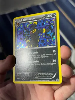 Umbreon BW93 Holo Black & White Promo Pokemon Card - Image 4