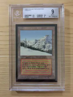 1993 Magic The Gathering Collector's Edition Taiga - BGS 9 - Dual Land - Image 1